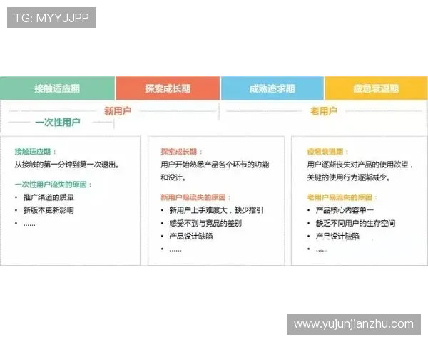 亚星登录地址2024最新版，详细步骤帮助用户顺利登录平台体验