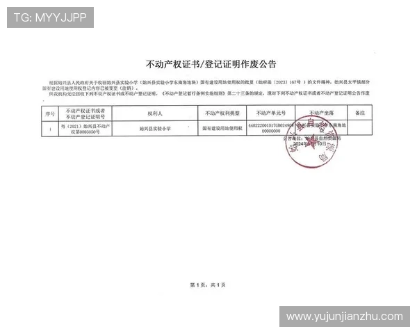 如何访问亚星代理官网获取最全面的代理信息和官方最新公告